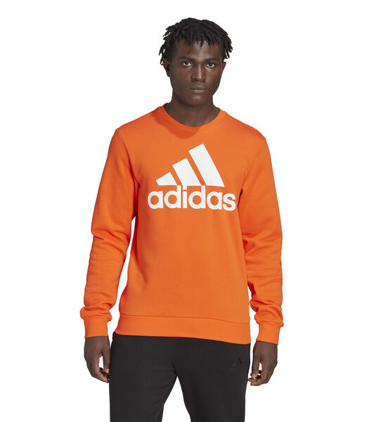 Sweatshirt met groot logo Essentials