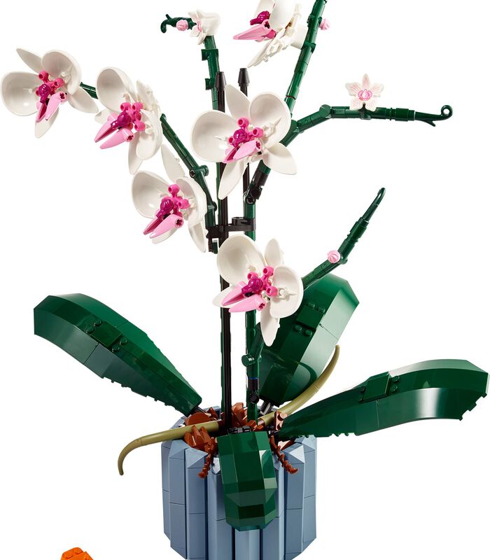 Icons Orchidee (10311) image number 2