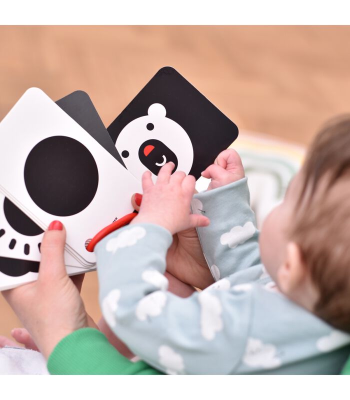 10 Hoog Contrast Kijk en Voel Babyboek Kaarten met 20 afbeeldingen / Zwart Wit Baby Speelgoed Boekje vanaf 0 maanden - 9x14cm image number 2