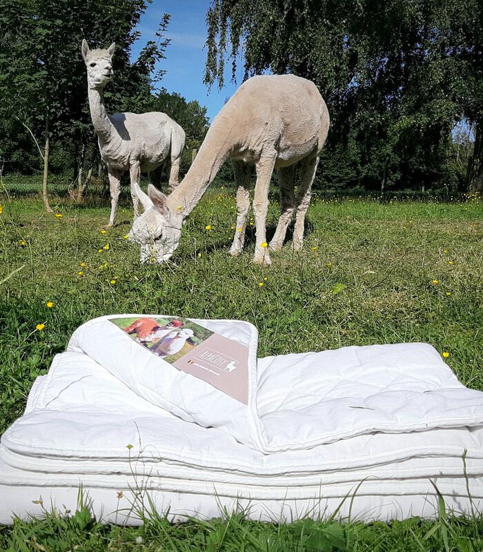 Wollen 4-seizoensdekbed Alpaca 2-persoons image number 2