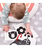 10 Hoog Contrast Kijk en Voel Babyboek Kaarten met 20 afbeeldingen / Zwart Wit Baby Speelgoed Boekje vanaf 0 maanden - 9x14cm image number 1