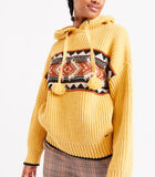 Ryan Cotaya geel zip-up sweatshirt image number 0
