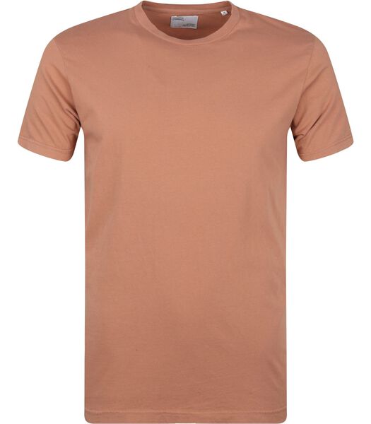 Colorful Standard T-shirt Biologique Marron