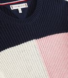 Sweater met essentiële colourblocking image number 1