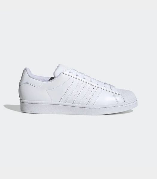 Superstar - Sneakers - Blanc