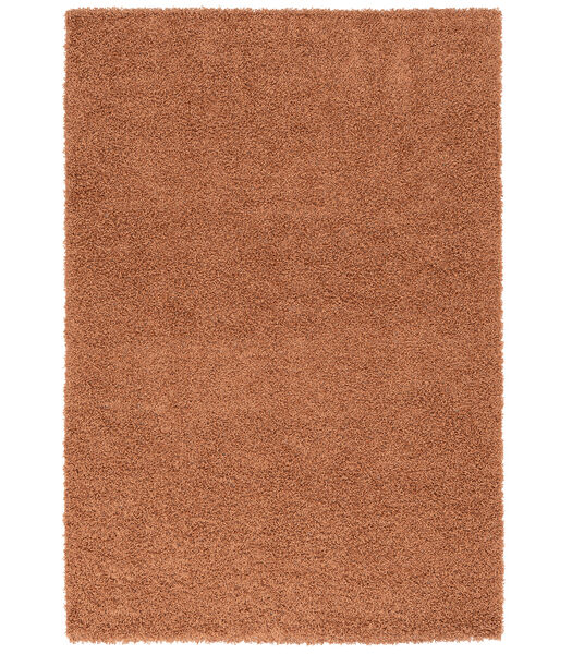 Hoogpolig langpolig Shaggy vloeerkleed tapijt Fluffy