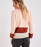 Pull manches longues rose Sallins Austral image number 4