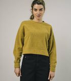 Cropped Sweater Mustard image number 0