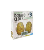 Kidzlabs GREEN SCIENCE: potato clock image number 2