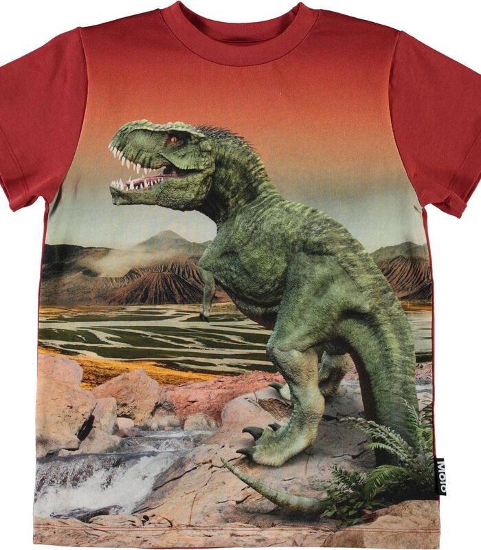 Road DinosaurT-shirt image number 0