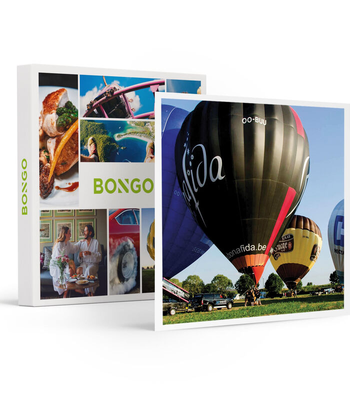 Balade en montgolfière en Flandre occidentale pour 1 personne - Aventure image number 0