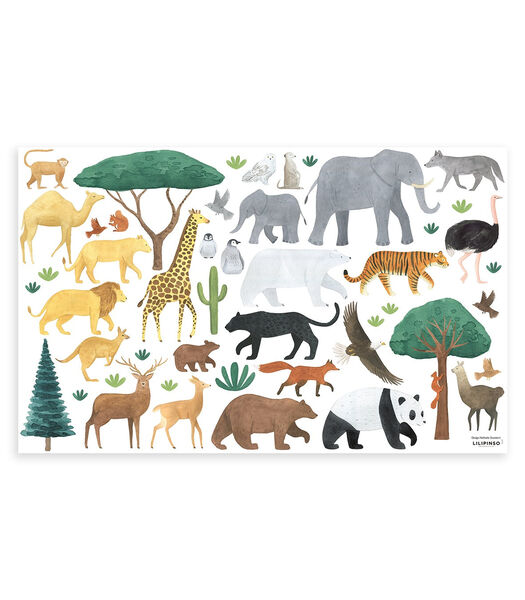Stickers animaux du monde Living eart, Lilipinso