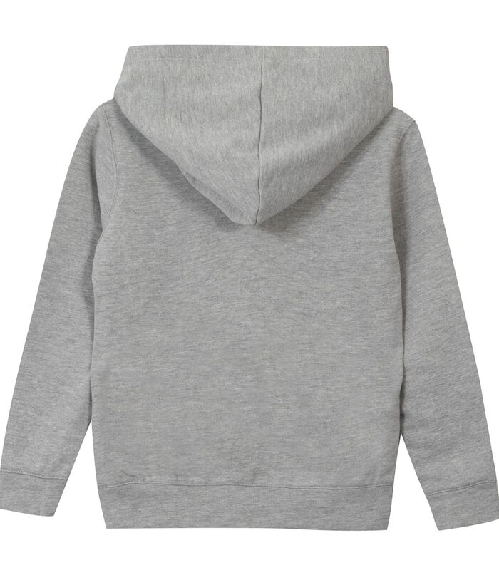 Oeko-Tex fleece hoodie met bedrukt patroon image number 1