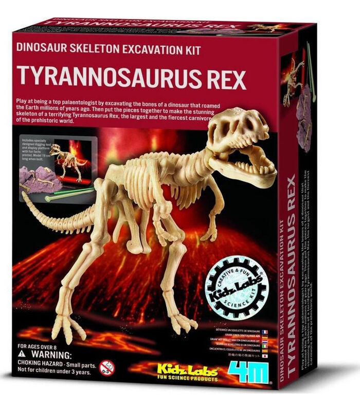KidzLabs: graaf-je-dinosaurus-op (tyrannosaurus rex) image number 2