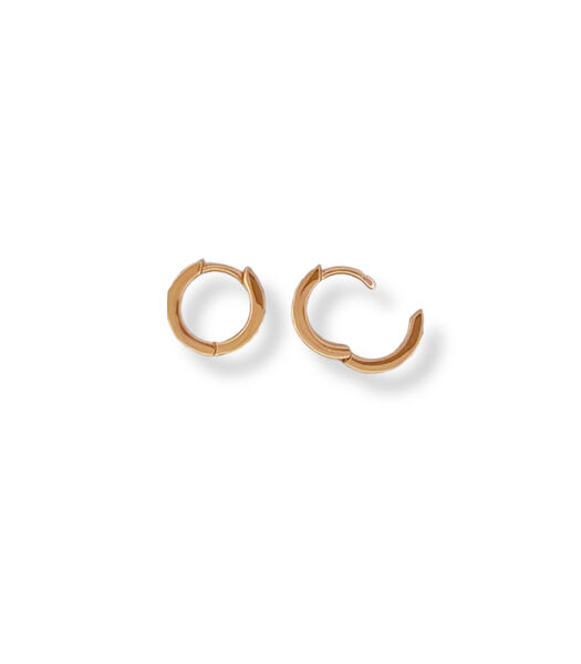 Oorbellen - Geometrische Ring - Goud