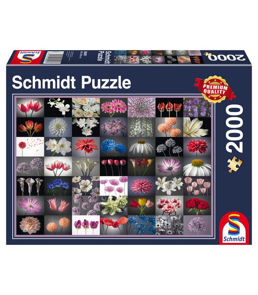 Spiele 58297 puzzle Jeu de puzzle 2000 pièce(s)