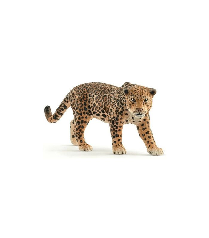 Safari - Jaguar 14769 image number 0