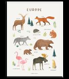 Affiche seule animaux d'Europe Living earth, Lilipinso image number 0