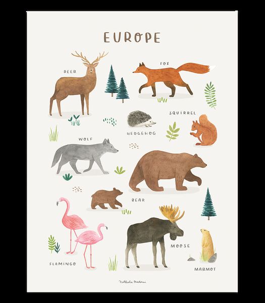 Affiche seule animaux d'Europe Living earth, Lilipinso