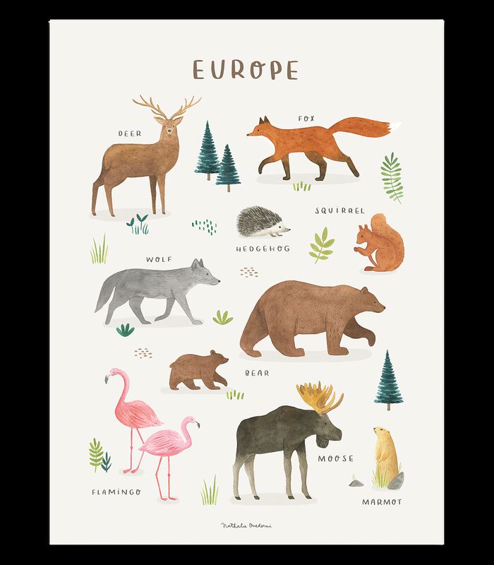 LIVING EARTH - Affiche enfant - Animaux d'Europe image number 0