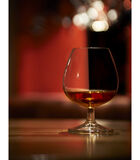 Verre à Cognac  613285 Specials 80 cl - Transparent 4 pièce(s) image number 2