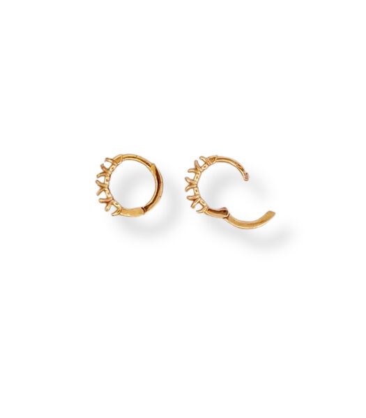 Oorbellen - Witte Opal-Ring - Goud