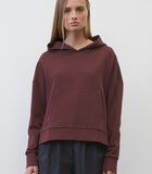 Oversized hoodie cropped image number 1