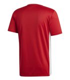 T-Shirt Adidas Sport Entrada 18 Jsy Powred/W image number 1