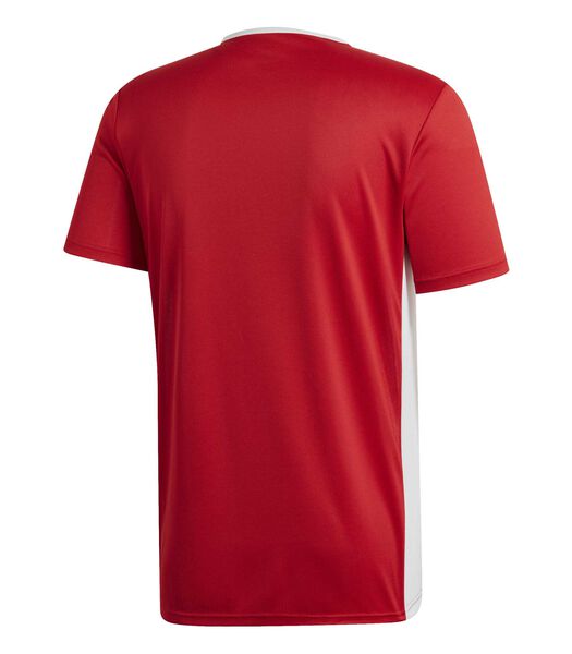 T-Shirt Adidas Sport Entrada 18 Jsy Powred/W