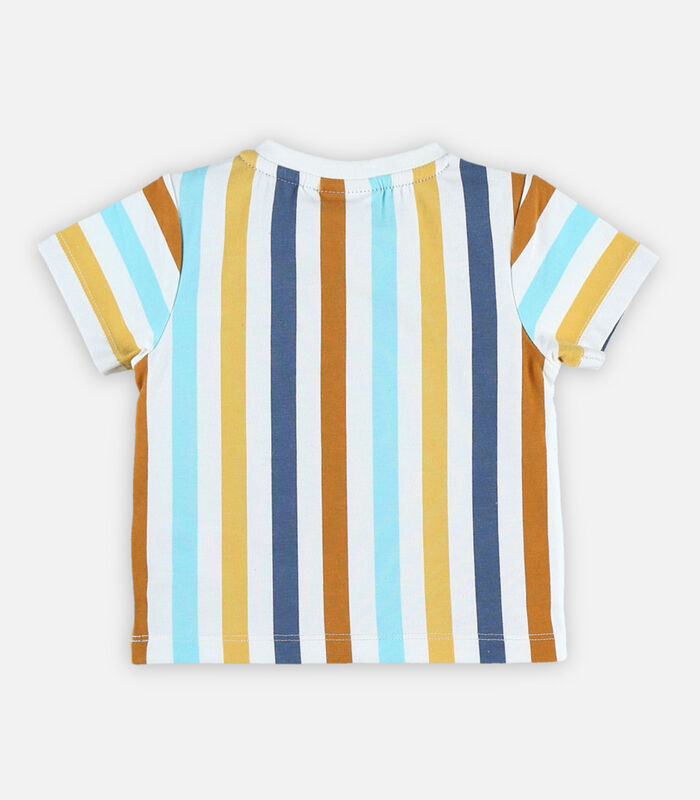 T-shirt met korte mouwen en kleurrijke streepjes image number 3