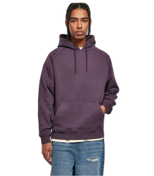 Hooded sweatshirt Blank GT