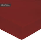 Drap housse rubis - Percale 100% coton bonnet 30cm image number 0