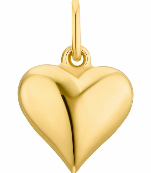 Motief tag voor dames en heren, unisex, goud 375 | hart