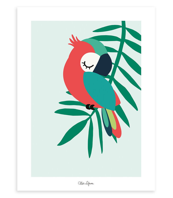TROPICA - Affiche enfant - Le perroquet (vert) image number 3