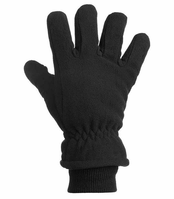 Thinsulate/Fleece Handschoenen Zwart image number 1