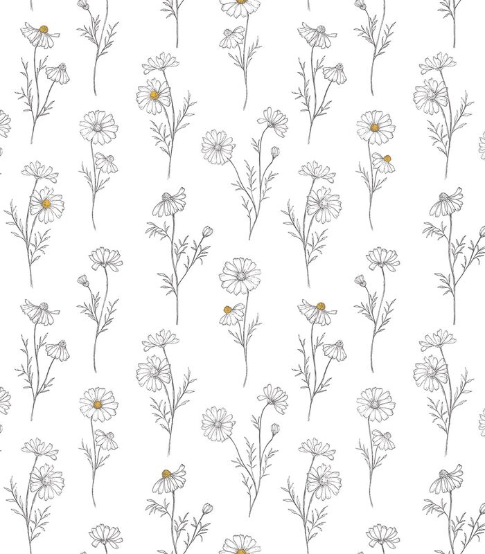CHAMOMILLE - Papier peint fleurs de camomille image number 1