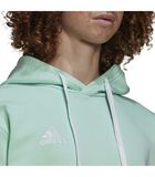 Adidas Sport Ent22 Sweatshirt Met Capuchon image number 4