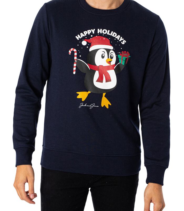 Namaak hypotheek Kort geleden Shop JACK & JONES Toon Penguin kersttrui op inno.be voor 41.28 EUR. EAN:  5715311660557