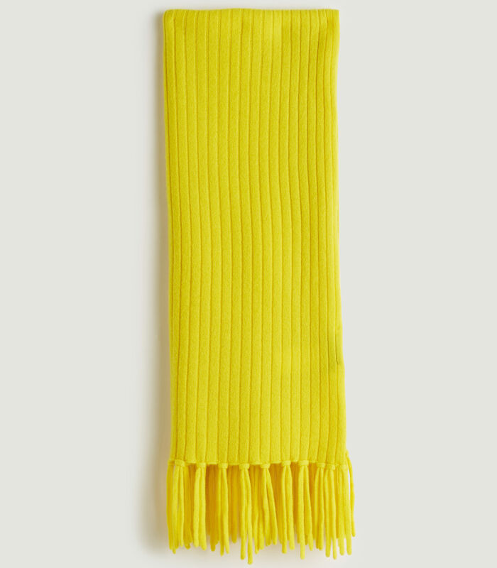 Sjaal met franjes van kasjmier image number 1