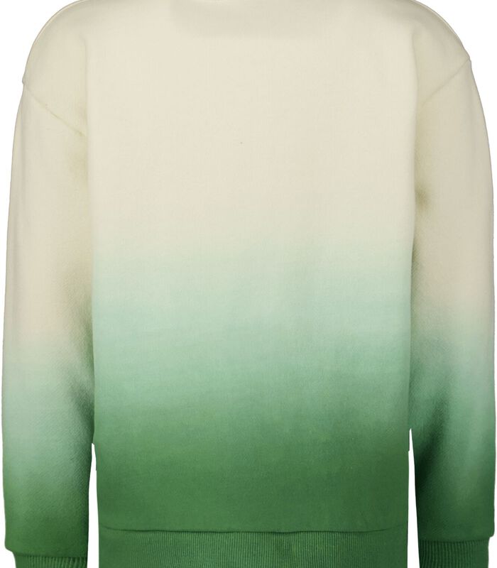 Sweater met print image number 1