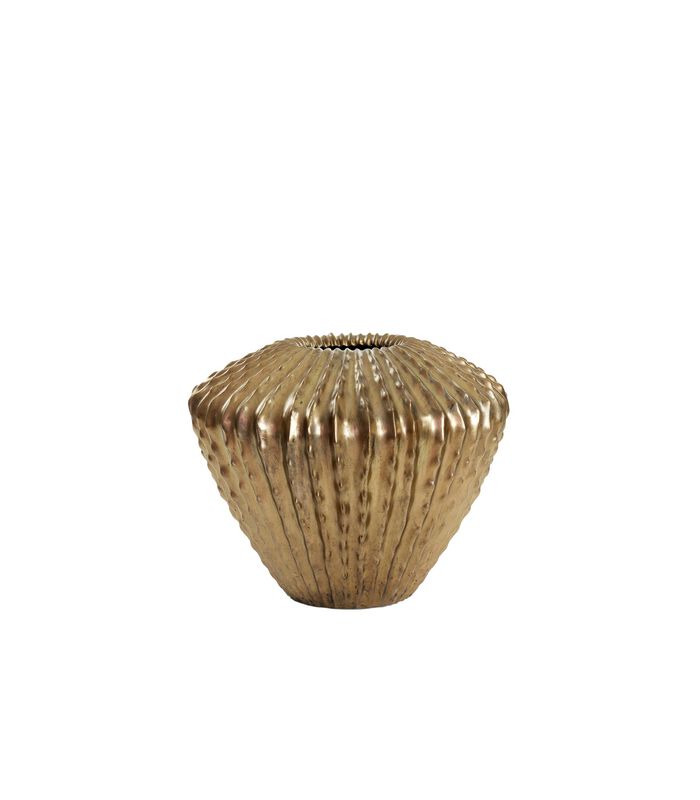 Vase Cacti - Bronze Antique - Ø55cm image number 0