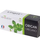 Lingot® Oregano BIO - voor Véritable® Indoor Moestuinen image number 0