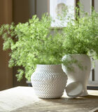 Vase blanc, Pot de fleurs - RM Paloma Braided - Porcelaine image number 1