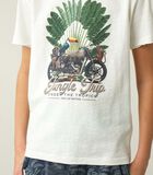 AVENTURA - Exotisch t-shirt voor jongens aventura image number 2