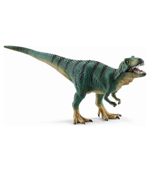 Dinosaures - Tyrannosaurus rex juvenil 15007