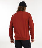 Basic sweater met ronde hals P2SOUET image number 1