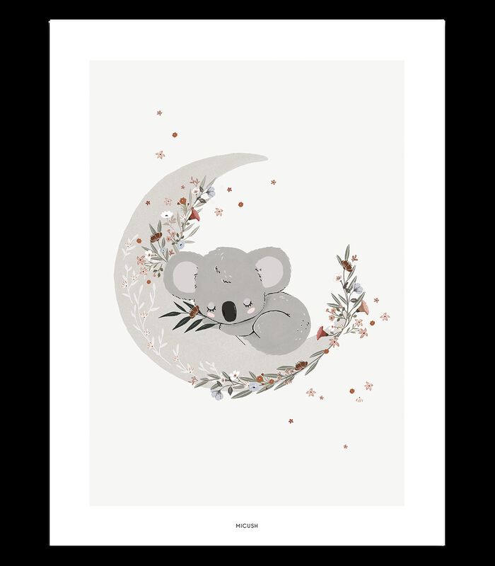 Affiche seule koala endormi Lilydale, Lilipinso image number 0