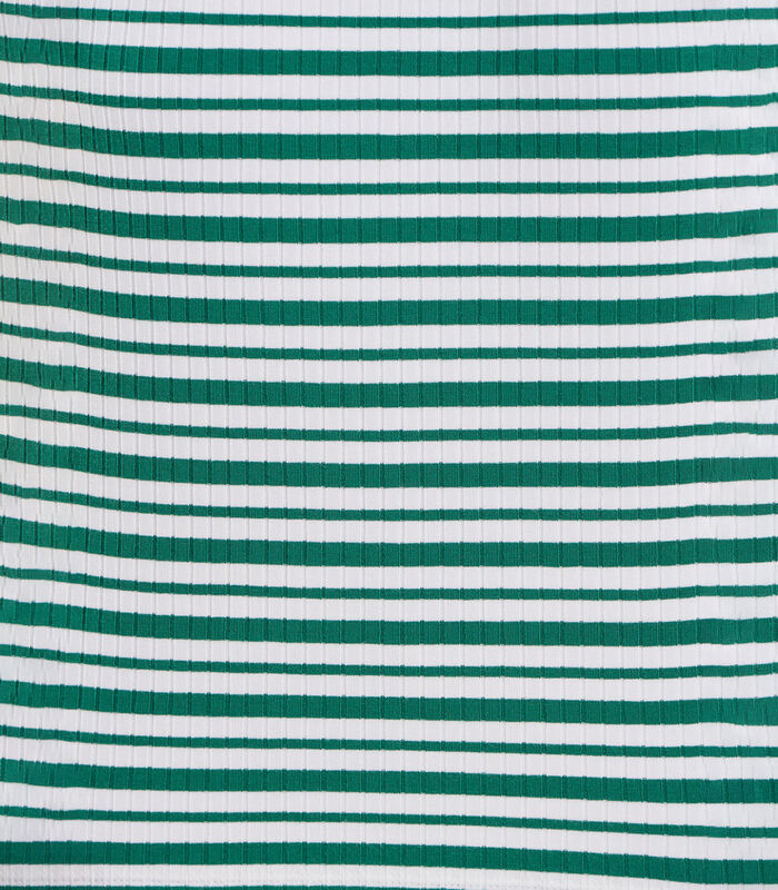 T-shirt rayé vert et blanc manches courtes image number 4