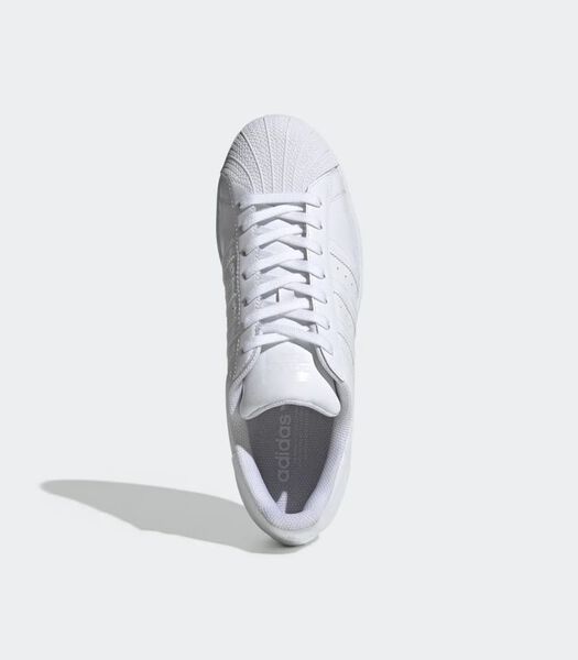 Superstar - Sneakers - Blanc