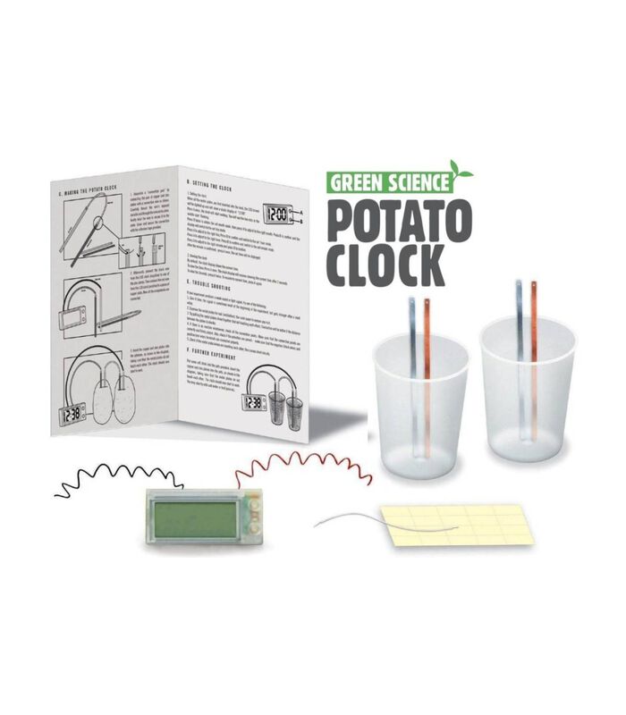 Kidzlabs GREEN SCIENCE: potato clock image number 3
